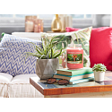 Yankee Candle The Last Paradise - Poslední ráj vonná svíčka Classic střední sklo 411 g