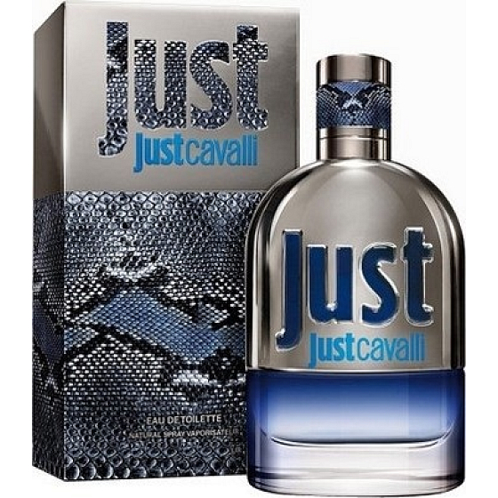 Roberto Cavalli Just Cavalli for Him toaletní voda 90 ml