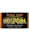 Nekupto Dárky z humorem Tabulka metalowa Szkoła nie jest gospodą 23 x 12 cm
