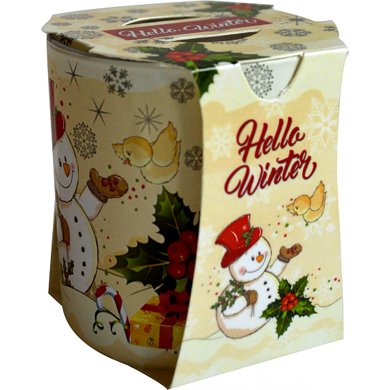 Admit Verona Latern Hello Winter vonná svíčka ve skle 90 g