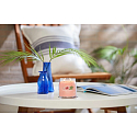 Yankee Candle Tropical Breeze - Tropikalna bryza świeca zapachowa Signature średni szklany 2 knoty 368 g