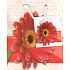 Nekupto Dárková papírová taška 14 x 11 x 6,5 cm Gerbera, 091 30 KAS