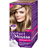 Schwarzkopf Perfect Mousse Permanent Foam Color barva na vlasy 800 Středně plavý