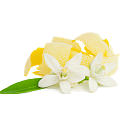Millefiori Milano Natural Lemon Grass - Citrónová tráva Difuzér 500 ml + 12 stébel v délce 35 cm do velkých prostor vydrží 6-7 měsíců