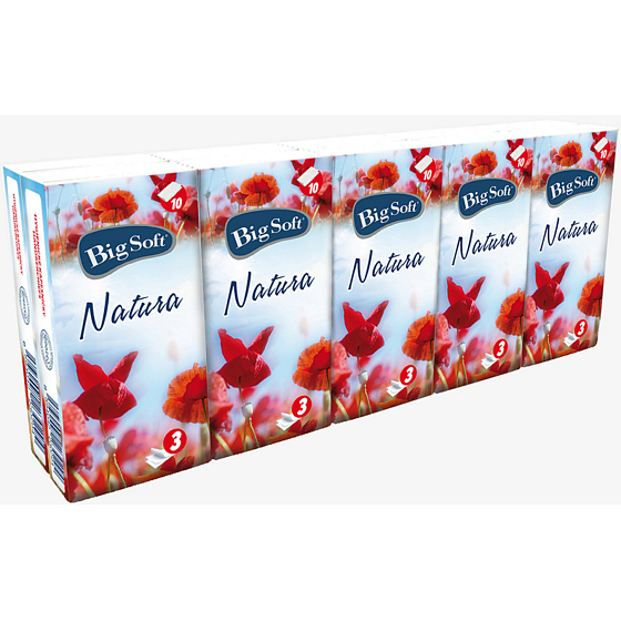 Big Soft Natura papírové kapesníky 3 vrstvé 10 x 10 kusů