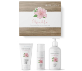 Regina Migdałowy krem do rąk 75 ml + krem nawilżający 50 ml + mleczko oczyszczające 200 ml, zestaw prezentowy