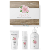 Regina Migdałowy krem do rąk 75 ml + krem nawilżający 50 ml + mleczko oczyszczające 200 ml, zestaw prezentowy