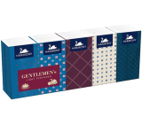 Harmony Gentlemen's Light Perfumed chusteczki papierowe 3-warstwowe 10 x 10 sztuk