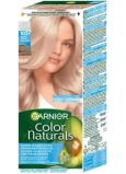 Garnier Color Naturals Mroźny srebrny 102+