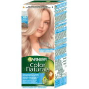 Garnier Color Naturals Mrazivá stříbrná 102+