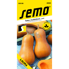 Semo Dynia Laura muszkatołowa wczesna 2 g Semo Dynia Laura muszkatołowa wczesna 2 g