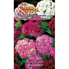 Seva Seed Hvozdík bradatý plnokvětý - směs barev 0,5 g Seva Seed Hvozdík bradatý plnokvětý - směs barev 0,5 g