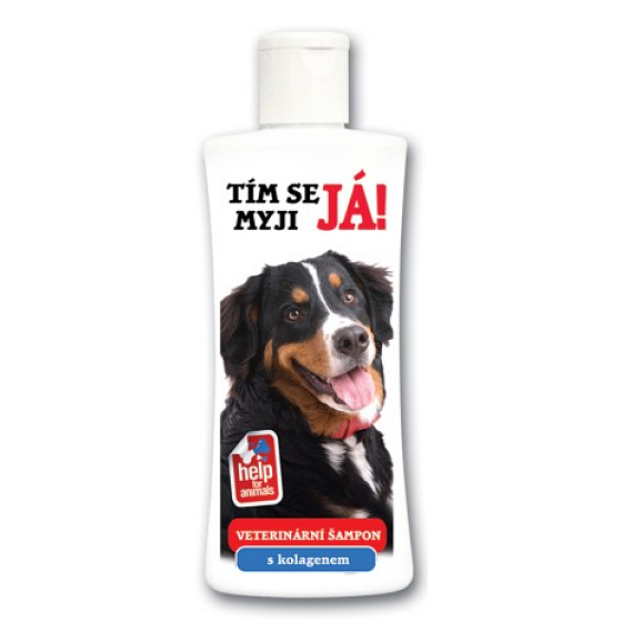 Bohemia Gifts Veterinární šampon pro psy Bernský salašnický pes 250 ml