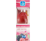Pan Aroma Dziki Owoce osvěžovač vzduchu difuzér 50 ml