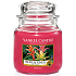 Yankee Candle Tropical Jungle - Tropická džungle vonná svíčka Classic střední sklo 411 g
