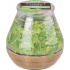 Bolsius Citronella vonná svíčka sklo Bazalka 90 x 94 mm