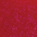Gabriella Salvete Enamel with Hardener lak na nehty 152 11 ml