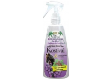 Bione Cosmetics Kostival & Kasztan koński maź ziołowy 260 ml