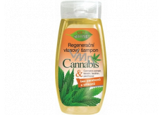 Bione Cosmetics Cannabis regenerujący szampon do włosów 260 ml