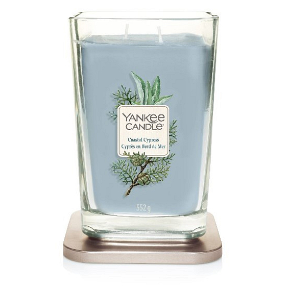 Yankee Candle Coastal Cypress - Pobřežní cypřiš sojová vonná svíčka Elevation velká sklo 2 knoty 553 g