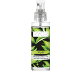 Ryor Matcha odświeżająca mgiełka z zielonej herbaty 100 ml