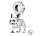 Charm Srebrny 925 Pies - Francuski buldog, zawieszka na bransoletkę zwierzę