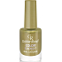 Golden Rose Color Expert lak na nehty 93 10,2 ml