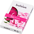 Bolsius Aromatic Peony - Pivoňka vonné čajové svíčky 6 kusů, doba hoření 4 hodiny