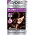 Syoss Gloss Sensation Šetrná barva na vlasy bez amoniaku 3-86 Zlatavě čokoládový 115 ml