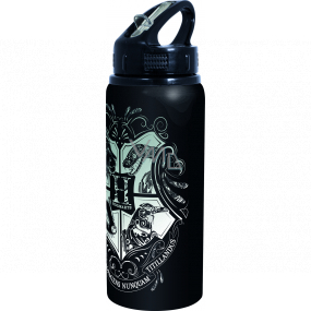 Epee Merch Harry Potter - Láhev hliníková 710 ml