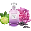 Coach Dreams Moonlight woda perfumowana dla kobiet 40 ml