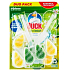 Duck Active Clean Citrus Splash zawieszek do toalety, 2 × 38,6 g