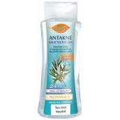 Bione Cosmetics Antakne Salicylowy ląd z Tea tree i mentolem 260 ml