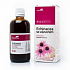 Aromatica Echinaceowe krople z imbirem na odporność, immunitet, przeciwzapalnie, drogi oddechowe 100 ml