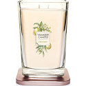 Yankee Candle Citrus Grove - Citrusový háj sojová vonná svíčka Elevation velká sklo 2 knoty 552 g