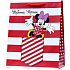 Ditipo Dárková papírová taška 26,4 x 12 x 32,4 cm Minnie Mouse červeno-bílá