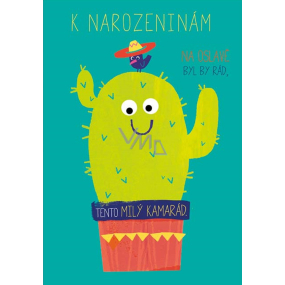 Ditipo Hrací přání K narozeninám Na oslavě byl by rád ... Jiří Korn Chlupatý kaktus 224 x 157 mm