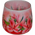 Essences of Life Amaryllis aromatická svíčka ve skle 100 g