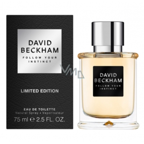 David Beckham Follow Your Instinct toaletní voda pro muže 75 ml