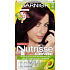Garnier Nutrísse Créme barva na vlasy 36 Divoké ostružiny
