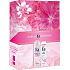 Fa Romantic Moments sprchový gel 250 ml + Dry Protect antiperspirant deodorant sprej 150 ml, kosmetická sada