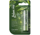 Regina Cannabis pomada do ust - jelení lůj 4,5 g