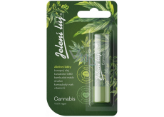 Regina Cannabis pomada do ust - jelení lůj 4,5 g