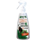 Bione Cosmetics Cannabis maść z siłą kasztanowca 260 ml