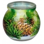 Admit Pine dekorativní aromatická svíčka ve skle 80 g