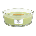 WoodWick Fern - Kapradina vonná svíčka s dřevěným širokým knotem a víčkem sklo loď 453 g