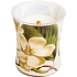 WoodWick Decal Magnolie - Magnóliové květy vonná svíčka s dřevěným knotem a víčkem sklo střední 275 g