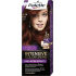 Schwarzkopf Palette Intensive Color Creme barva na vlasy 6-79 Fialově měděný