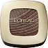 Loreal Paris Color Riche L Ombre Pure oční stíny 502 Quartz Fumé 1,7 g