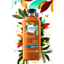 Herbal Essences Smooth Golden Moringa Oil Kondicionér s moringovým olejem, pro hladké vlasy a snadné rozčesávání, bez parabenů 360 ml